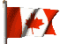 Canadian National Flag - Canadian Presence